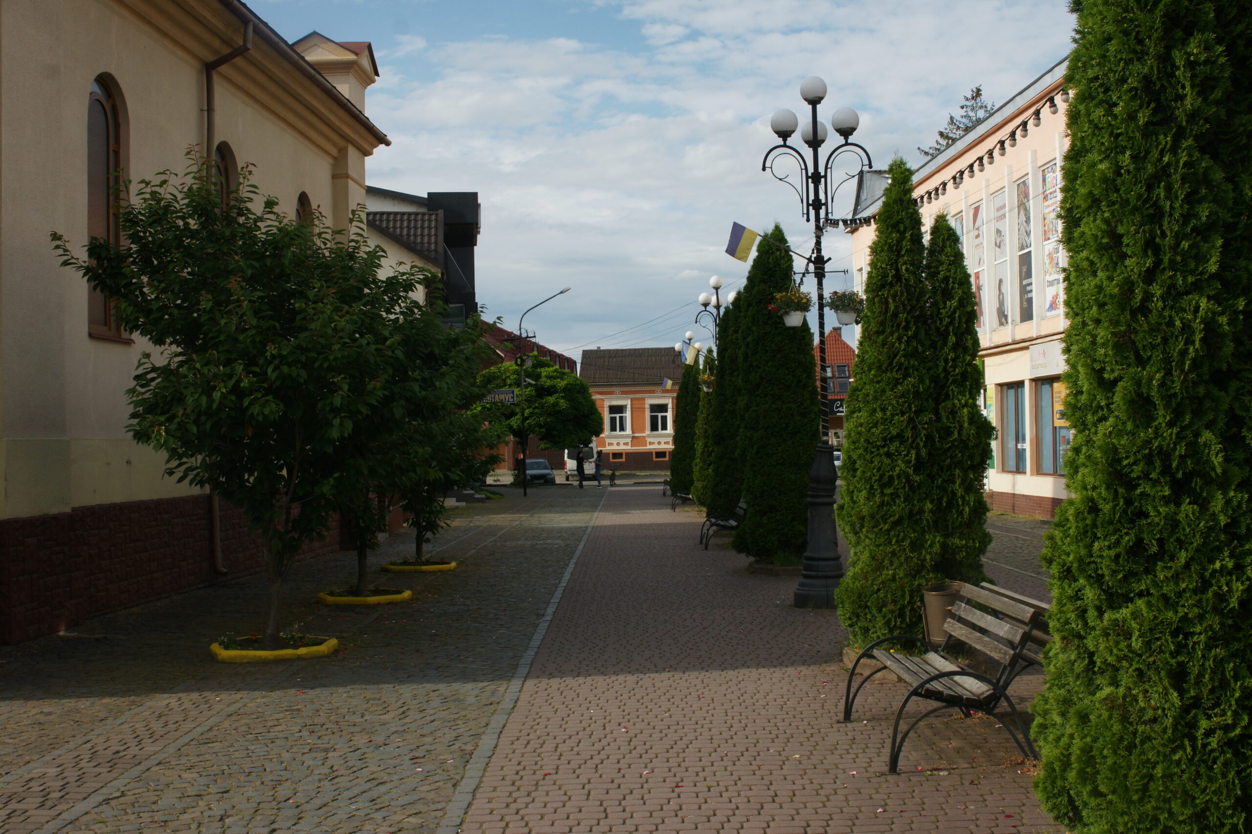 SONY DSC